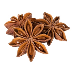 Anís Estrellado de Vietnam, Flor Grande, Seco, Natural, Entero, Venta al por Mayor, Suministro de Fábrica, Exportación, Especias - Product Image 6