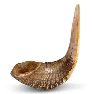 Natürliches Tierhorn-Kunsthandwerk, poliert, religiöses Dekorationsstück, Sammlerstück, Dekoration, religiöses Sammlerstück, Widderhorn - Product Image 4