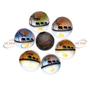 Bols en noix de coco bio personnalisables, marque privée, plat en coquille laquée, usine ODM au Vietnam, vente directe - Product Image 3