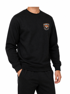 เสื้อสเวตเชิ้ตคอกลมสีดำสำหรับผู้ชาย แบบสั่งทำขายส่ง ปักโลโก้ ทรงปกติ สวมใส่สบาย เหมาะสำหรับฤดูใบไม้ผลิ ผลิตจากผ้าฝ้ายทอ 100% - Product Image 3
