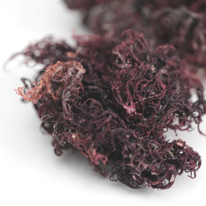 2023 Premium Quality Vietnamese Flavored Chopped Seamoss Unadulterated Dried Seasoned - Product Image 1