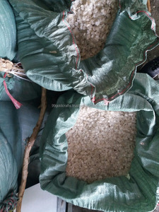 เครื่องชั่งปลากะพงแห้ง99โกลด์เครื่องชั่งคุณภาพสูงจากเวียดนามสำหรับใช้ในอุตสาหกรรมและความงาม - Product Image 2