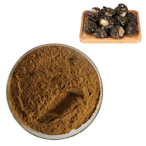 Poudre de Maca Noire Premium la Plus Vendue, 100% Pure et Naturelle, Poudre de Racine de Maca Noire Péruvienne pour Compléments Alimentaires en provenance d'Inde - Product Image 2