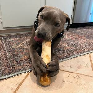 Juguete para mascotas de madera de café ecológico duradero para perros, tratamiento saludable para perros - Product Image 2