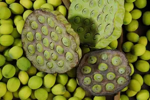 Soft and <b>Sweet</b> Fresh Lotus Seeds <b>2kg</b> Bag Vietnam Toan Tai Loc Phat Brand for Food Processing & Retail Distribution - Product Image 3