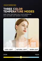 Lampe vidéo compacte embarquée avec clip, alimentée par batterie 5W 7000K pour réunions et vidéos en direct, éclairage photographique D12