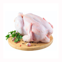 Pollo entero halal, proveedores de pollo entero congelado de Brasil, pollo entero congelado para exportación