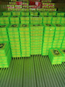 Idor Longan fresco de calidad de exportación de Vietnam con piel limpia y textura firme, perfecto para cadenas minoristas e importadores - Product Image 5