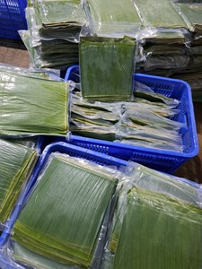 Feuilles de bananier congelées du Vietnam, qualité supérieure, coupées proprement, pour l'emballage alimentaire et la cuisine - Product Image 5