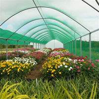 Filet d'ombrage 100% HDPE vierge vert résistant aux UV pour l'agriculture et les serres