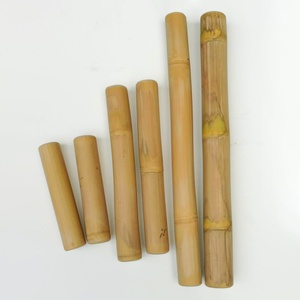 Natural Bamboo <b>Pole</b> Made in Vietnam Bamboo <b>Poles</b> Plant Raw Material <b>for</b> <b>Gardening</b> and Farming - Product Image 5