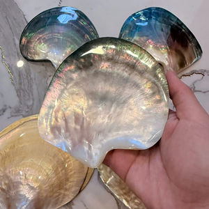 PLAQUE DE COQUILLES MULTICOLORES ÉTINCELANTES EFFET ARC-EN-CIEL |   Gloss nacré rose, noir et jaune |   TRÉSOR 100% NATUREL - Product Image 1