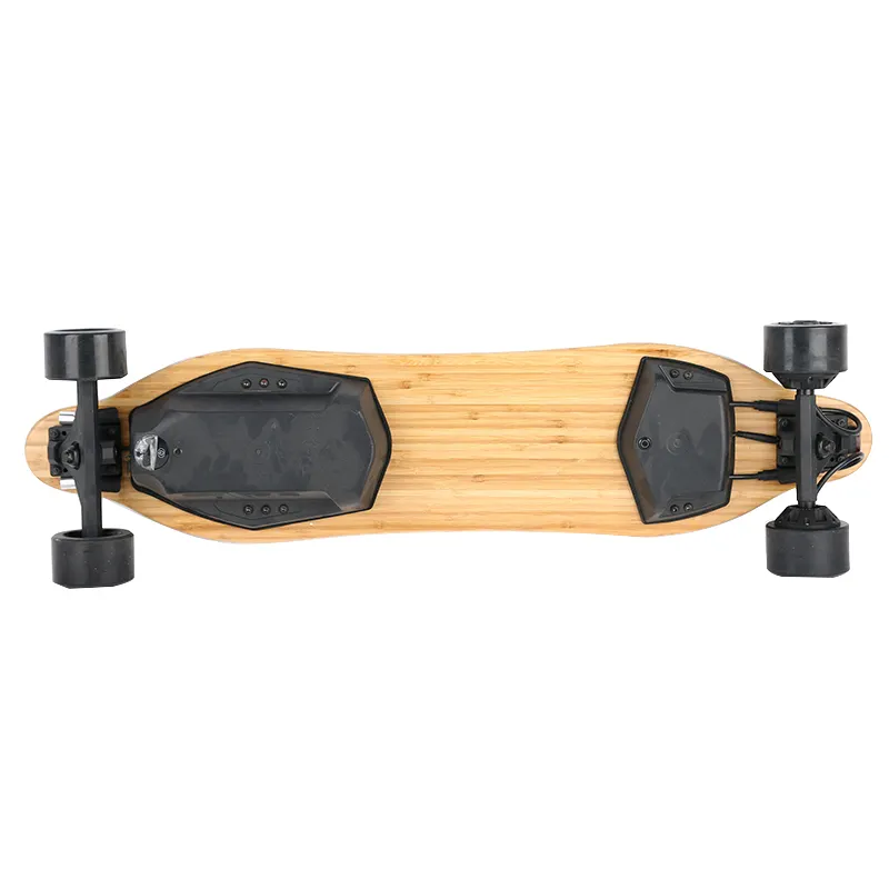 Dual hub motors longboard Electric Skateboards with remote