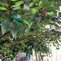 Grand arbre artificiel naturel unique pour décoration intérieure, grand ficus artificiel en forme d'arche, arbre banian vert, plantes durables en fibre de verre
