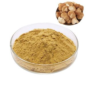 OEM/ODM Polvo de Melena de León 100% Puro, Grado Alimenticio Natural, Apoya la Nutrición Diaria y el Bienestar General - Product Image 4