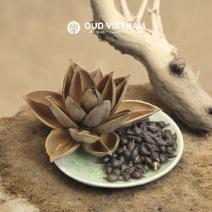Semillas de Oud de Alta Gama para Temporada Especial - SOS (1kg) Venta al por Mayor para Empresas Comerciales B33-EN-005 - Product Image 1