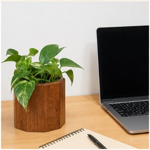 Ensemble de jardinières hexagonales géométriques modernes en bois, écologiques, faites à la main, en bois massif, pour plantes succulentes, décoration de bureau à domicile - Product Image 4
