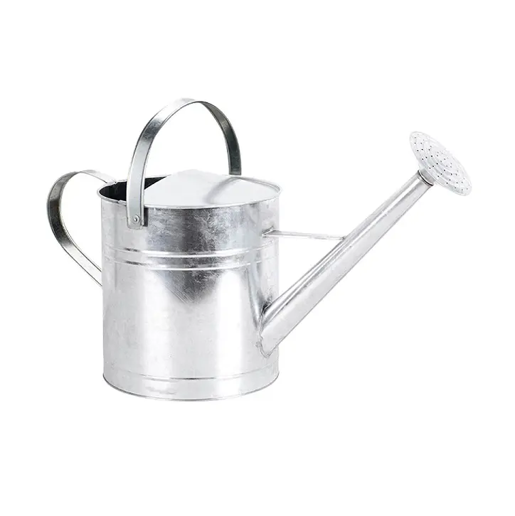 Metal Iron Watering Jug Watering Can Silver Metal Indoor Outdoor Plant Watering Can for Flower & Plants