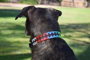 Collar y Correa para Perro de Lujo, Personalizado con Encaje Impreso, para Razas Pequeñas y Grandes, de Cuero Suave con Hebilla Metálica - Product Image 2