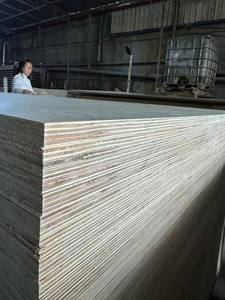 Contrachapado de Abedul Marino de 18 mm E0, Lámina de Contrachapado de Abedul Impermeable para Exteriores de 4x8 para Paneles de Pared de Madera para Villas - Product Image 6