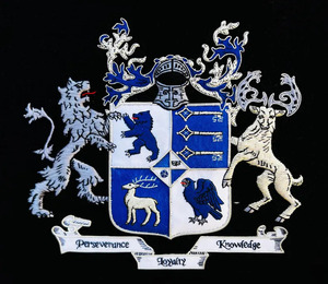 Badges brodés à la main avec logo personnalisé, qualité supérieure, service OEM, faible MOQ, couleurs personnalisées, épingle de sûreté, nouvelle arrivée, modèle 2026 - Product Image 2