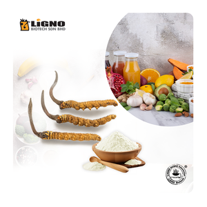 LiGNO OCS02 ®   Polvo de Ophiocordyceps - OEM de Malasia para Bebidas Energéticas, Gomitas y Alimentos Funcionales - GMP - Product Image 1