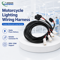 Kabel Harness Motor Kustom dengan Konektor Crimp & Selubung Kepang Kustom untuk Sensor/Lampu Kendaraan