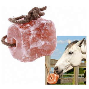 Sal Demaro de Alta Calidad, Premium, Natural del Himalaya, en Cubos, Bloques de Sal para Animales con Cuerda para Colgar de 1m, ISO - Product Image 5