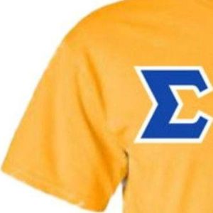 เสื้อยืด Sigma Gamma Rho ลายตัวอักษร  แบบยูนิเซ็กซ์ ผ้าฝ้าย คอกลม แขนสั้น เสื้อผ้าชมรมกรีก สไตล์ลำลอง สตรีทแวร์  แบบสั่งทำ - Product Image 4