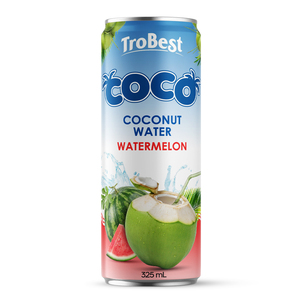 <b>Chocolate</b> Coconut Drink 320ml Can OEM ODM Private Label Beverage - Product Image 3