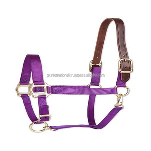 Personalized Horse <b>Halter</b> Full Adjustable Strong Nylon Horse <b>Halter</b> with Leather Crown and Durable Brass Plated Hardware - Product Image 2
