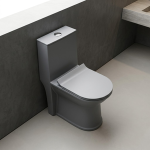 Inodoro Moderno de Una Pieza con Acabado Mate en Gris Cemento, Alargado, de Cerámica, Montado en el Suelo, con Sifón S/P - Product Image 4