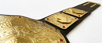 Ceintures de championnat personnalisées en cuir et laiton de qualité supérieure Ronpex International pour la boxe, le taekwondo et la lutte