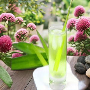 100% aceite esencial puro natural Kewda para el cuidado de la piel y el cabello disponible al mejor precio y competitivo tamaño de paquete de 25 kg y 180 kg - Product Image 2