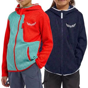 Color Blocking Hooded Fleece <b>Jacket</b> with Zipper Embroidered Logo Front Pocket Design for Kids Autumn Wear - Product Image 5