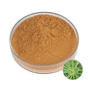 สารสกัดซิสซัส ควอดรังกูลาริส แบบขายส่ง อัตราส่วน 20:1 ปริมาณมาก 100% บริสุทธิ์และเป็นธรรมชาติ ผงซิสซัส ควอดรังกูลาริส ราคาดีที่สุดจากอินเดีย - Product Image 2