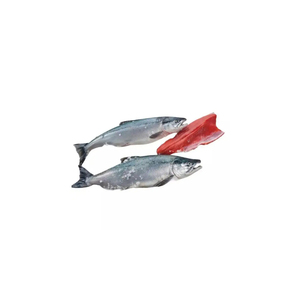 Salmón del Pacífico Congelado de Primera Calidad, Suministro al por Mayor, Listo para Enviar, Grado Alimenticio, Exportación Global - Product Image 3
