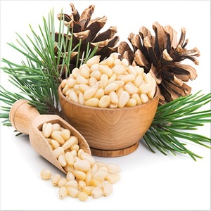 Piñones Crudos Orgánicos al por Mayor, Grado Alimenticio, Listos para Entrega, con un Sabor Natural Confiable - Product Image 2