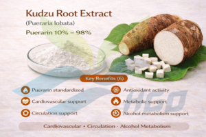 Hgo สารสกัดจากราก Kudzu ธรรมชาติบริสุทธิ์ (เกรดอาหาร) ข้อมูลจำเพาะ10% puerarin (สารสกัดที่ได้มาตรฐาน) - Product Image 6