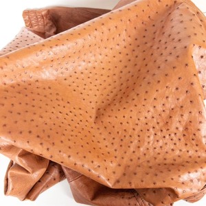 Veste en cuir d'autruche gaufré sur mesure pour homme, style motard en cuir de vachette, service d'échantillons OEM/ODM disponible en usine - Product Image 5