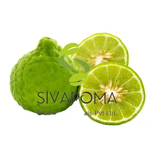 O óleo essencial de bergamota é um produto versátil e popular, óleo natural de Sivaroma que oferece inúmeros benefícios e aplicações