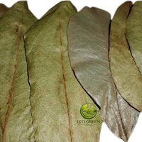 Feuilles de corossol séchées, tisane naturelle, feuilles d'Annona Muricata, thé détox bio, fournisseur Vietnamien, vente en gros en vrac