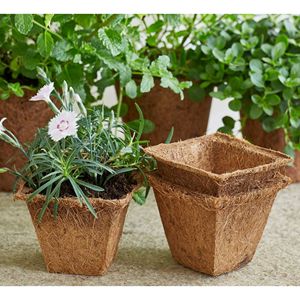 Biodegradable Coir Pot for Seedlings Natural Coconut Fiber Plant <b>Container</b> for Garden Nursery and Greenhouse Use - Product Image 5