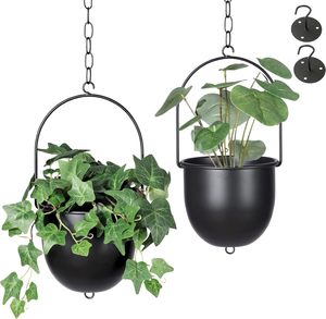 Ensemble de 2 suspentes à plantes ovales noires en métal avec pots de fleurs de 6 pouces, supports modernes pour plantes murales et de plafond - Product Image 1