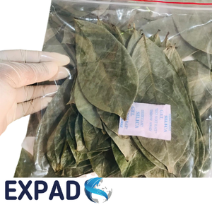 Natural dried Annona muricata leaves from Vietnam farms, premium grade graviola leaves for tea and herbal applications - Product Image 1