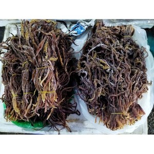 Exportación de Pedidos al por Mayor de Calamar Seco con Calidad Superior y Precio Competitivo |   Calamar Entero Limpio de Vietnam, Suministro a Granel - Product Image 2