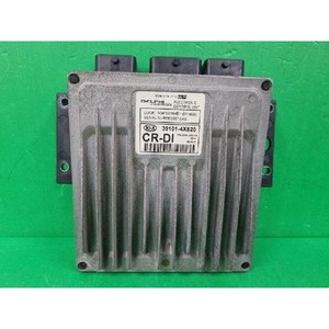 ECUs y Módulos de Computación Usados de Carnival 391014X820 - Product Image 1