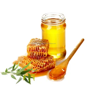 Haute qualité 100% pur naturel 500g de miel d'eucalyptus en verre rond/pot Mason prix abordables avec un bon emballage personnalisé