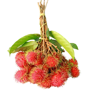 Rambutan Vietnamita Fresco de Alta Calidad _ Fruta Tropical de Grado de Exportación para Compradores B2B - Product Image 1