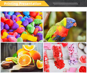 Tatrix Epson 108 Mực chai Refill <span class=keywords><strong>Ink</strong></span> Kit cho Epson l18050 L8100 l8050 - Product Image 3